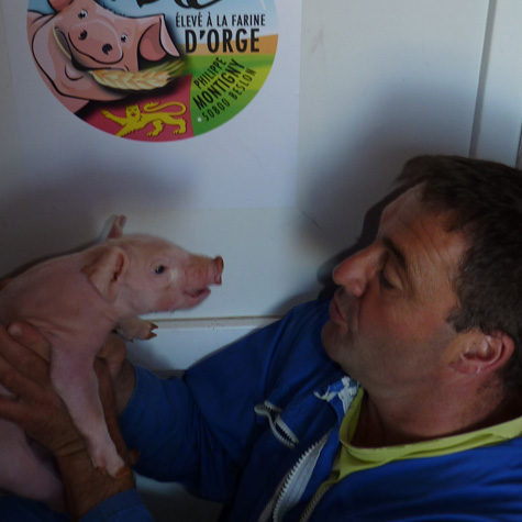 SCEA de Loslerie : production porcine à Beslon près de Villedieu-les-Poêles & Vire